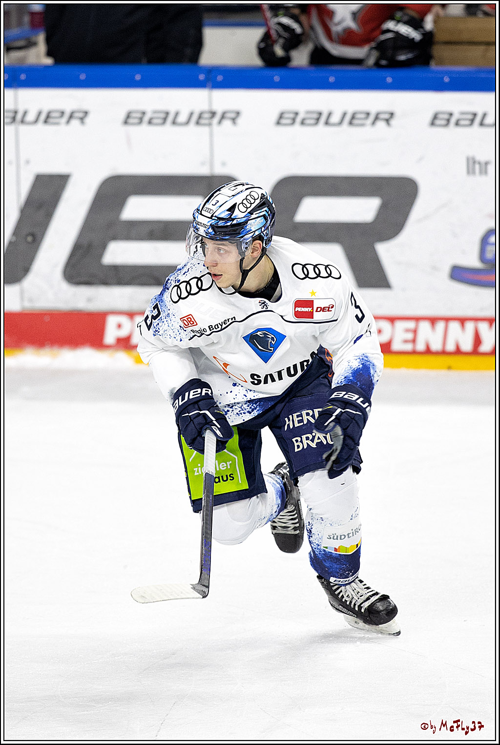 PENNY DEL;  Koelner Haie - ERC Ingolstadt; Koeln, 19.12.2021